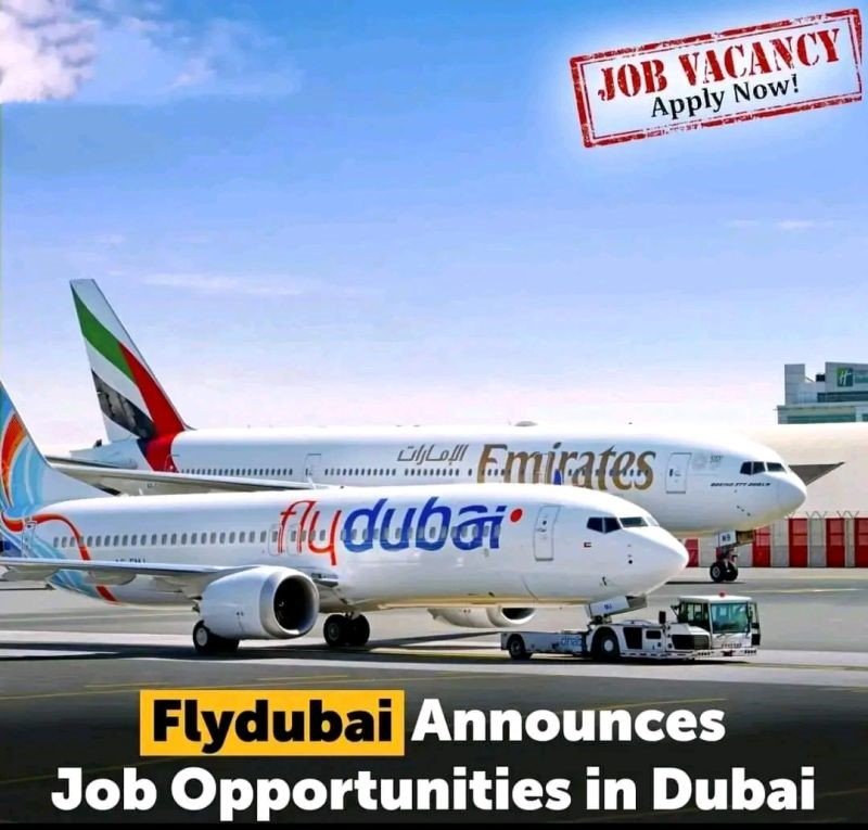 Team Leader - Engineering Specialized Services -Fly Dubai Airlines -UAE - Apply Now